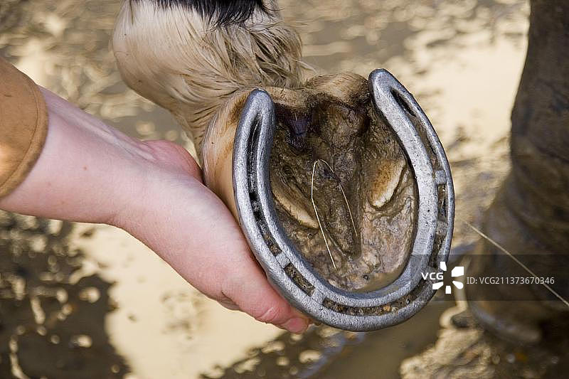 马蹄控制图片素材