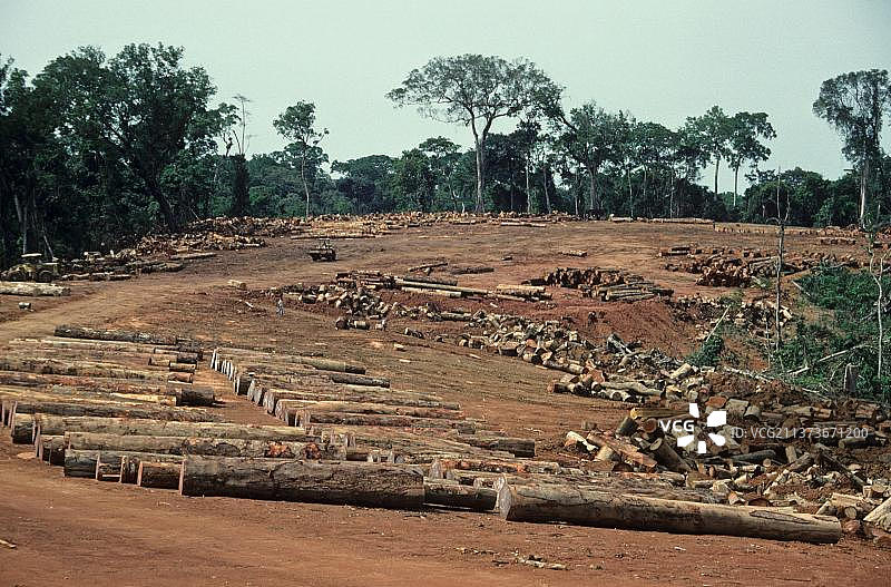 热带湿润森林的破坏，伐木营地的树干和原木，利比里亚上几内亚森林图片素材