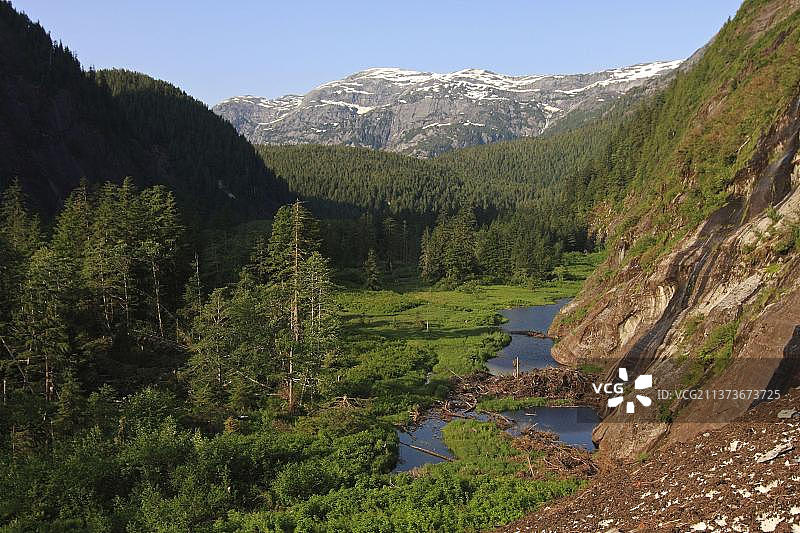 冰川山谷和温带沿海雨林栖息地景观，位于加拿大不列颠哥伦比亚省图片素材