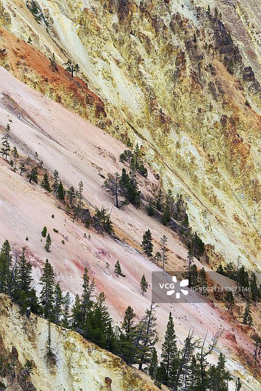黄石大峡谷氧化岩石的峡谷坡。图片素材