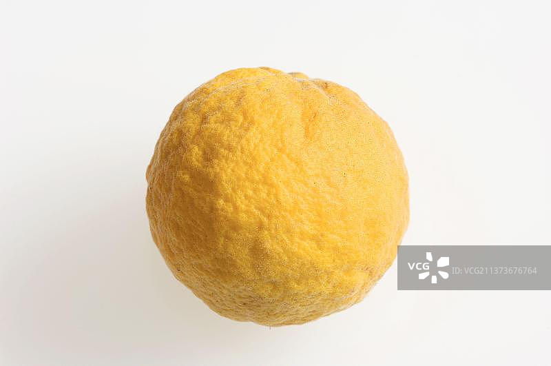 枳壳果实图片素材