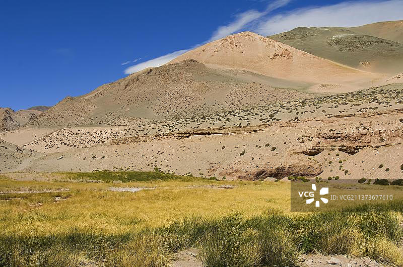 布拉瓦湖：维库尼亚斯国家保护区，安第斯山脉，拉里奥哈省，阿根廷，南美洲图片素材