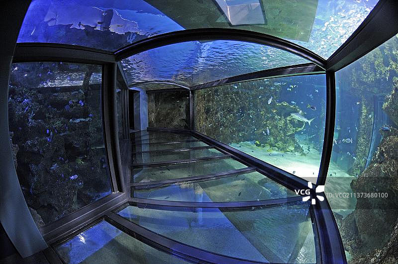 悉尼水族馆，澳大利亚，大洋洲图片素材