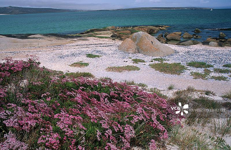 南非西海岸国家公园图片素材