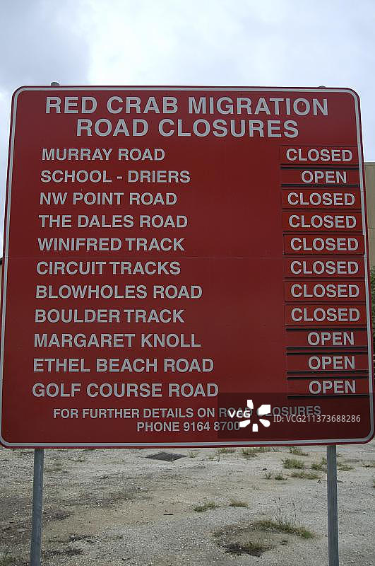 圣诞岛红蟹(Gecarcoidea natalis),圣诞岛蟹,陆蟹,其他动物,螃蟹,甲壳类动物,动物,圣诞节,红蟹“迁徙道路封闭”标志,期间,冰岛,欧洲图片素材