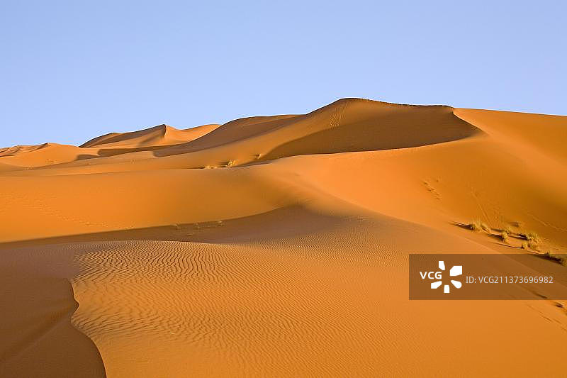 非洲摩洛哥谢比沙漠沙丘图片素材