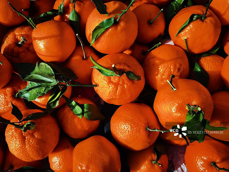 市场上新鲜的耙耙柑图片素材