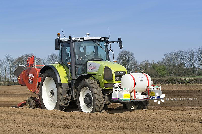 马铃薯作物：使用格立莫播种机播种种薯图片素材