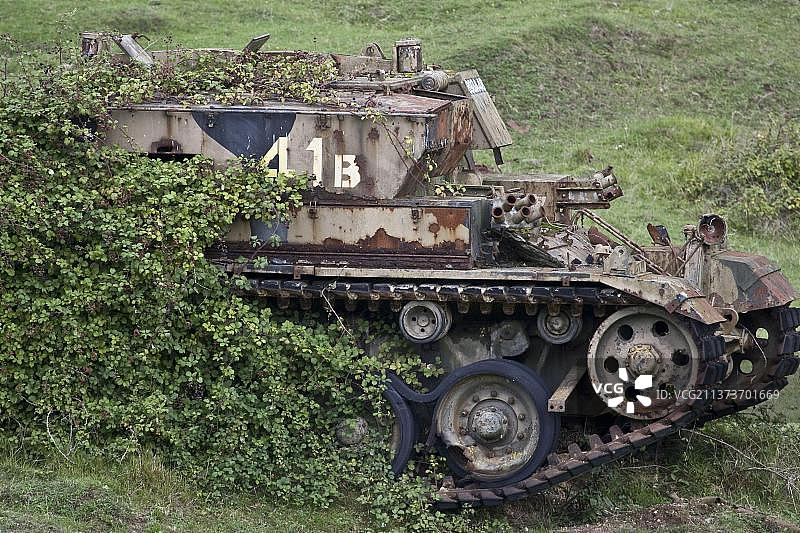 军用靶场上的坦克目标，被荆棘（黑莓）覆盖，英国多塞特图片素材
