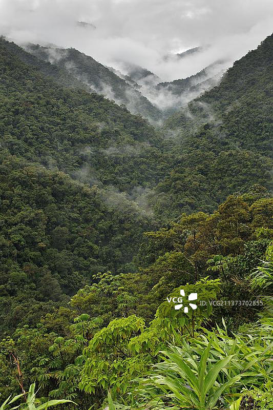 秘鲁安第斯山脉山地雨林图片素材