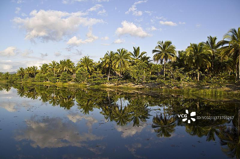 马达加斯加多芬堡附近的椰子种植园图片素材
