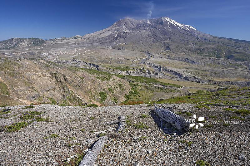 圣海伦斯火山国家公园的植被和火山远景图片素材