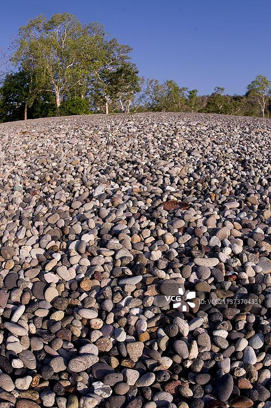 印度尼西亚鹅卵石海滩与背景树木图片素材