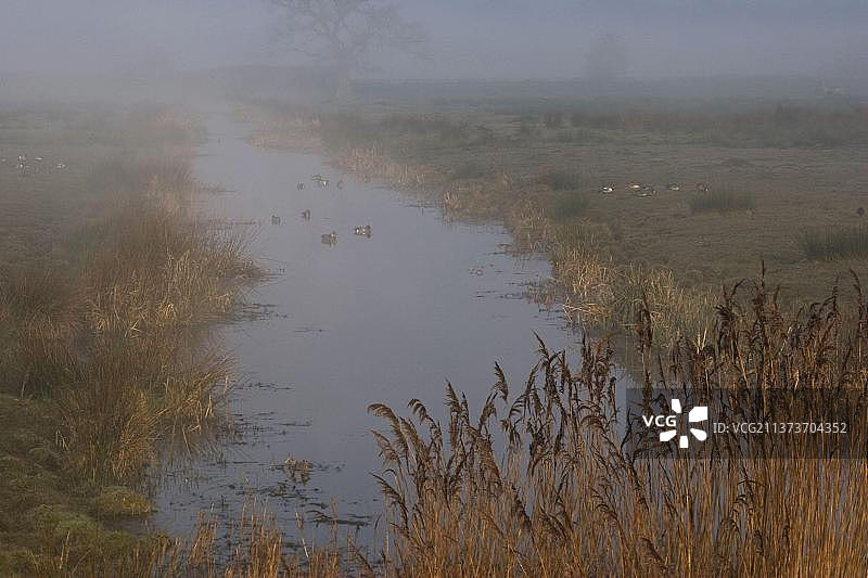 诺福克郡亚尔河畔的湿地公园图片素材