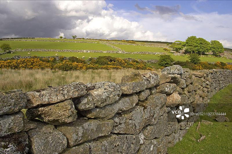 肥沃山谷中的干燥石墙和牧场，英国德文郡达特穆尔国家公园普林斯敦地区图片素材