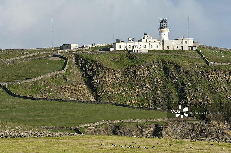 设德兰群岛桑伯格悬崖牧场和灯塔景观图片素材