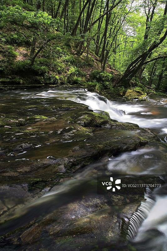 河流穿过绿树成荫的峡谷，英国威尔士布雷肯比肯斯国家公园图片素材