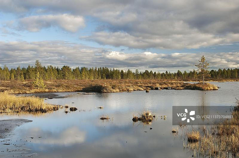 芬兰西北部拉普兰北方沼泽栖息地的池塘景色图片素材