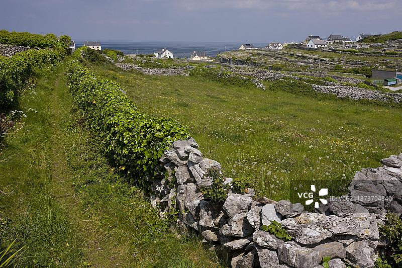 爱尔兰克莱尔郡伯伦地区的伊尼希尔岛石灰石墙小路图片素材