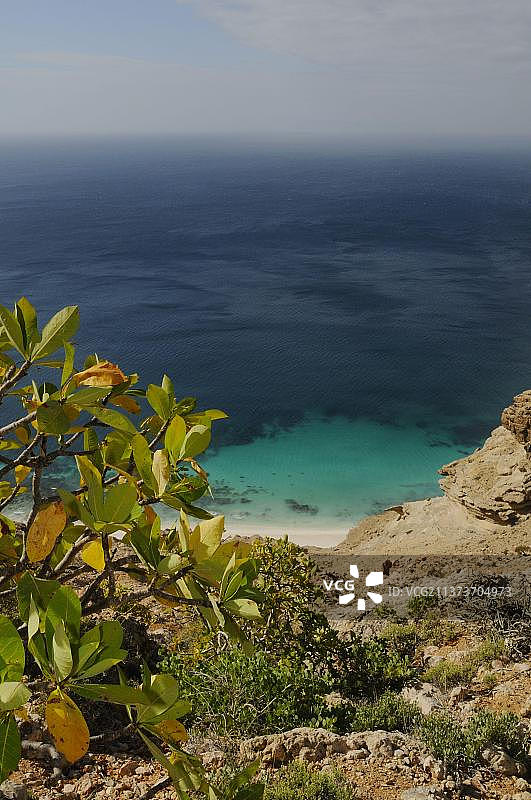 也门索科特拉岛南部海岸悬崖栖息地的海景图片素材