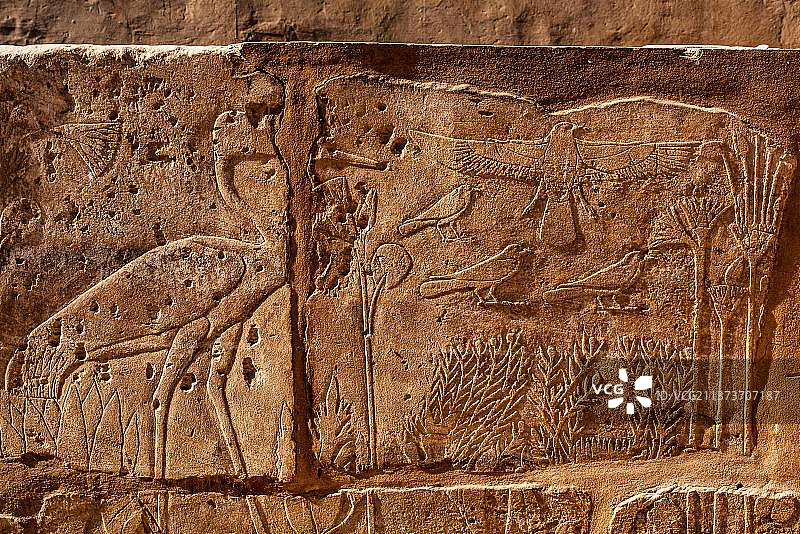 图特摩斯三世植物园，植物和动物的浮雕，卡纳克神庙，卢克索，底比斯，埃及，非洲图片素材