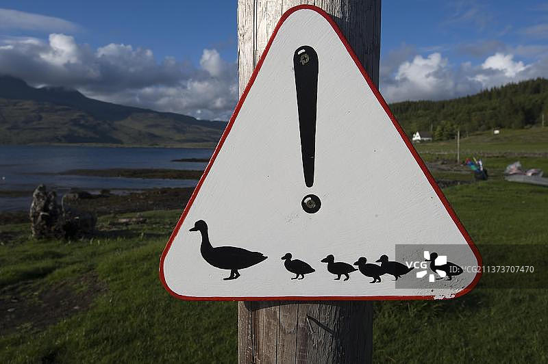 鸭子过马路警告标志，苏格兰，英国图片素材