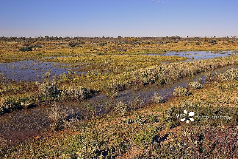 雨季的沙漠，澳大利亚新南威尔士州斯图尔特国家公园图片素材