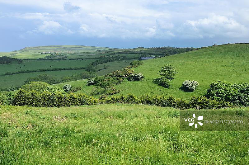 从莫特霍伊眺望布尔角附近海岸线的北德文郡连绵起伏的丘陵，英国德文郡图片素材