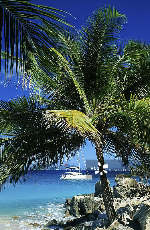 北美洲加勒比海英属维尔京群岛彼得岛棕榈滩图片素材