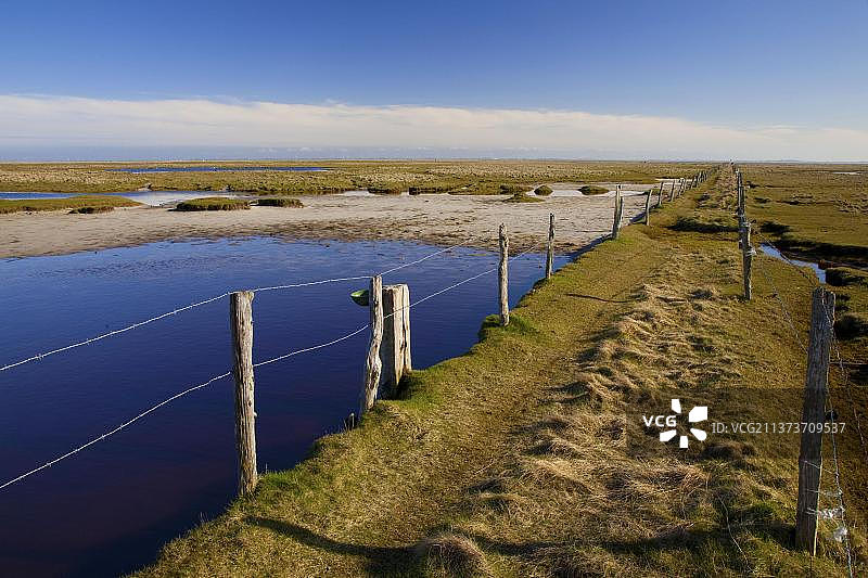 德国下萨克森瓦登海国家公园，斯皮克罗格岛图片素材