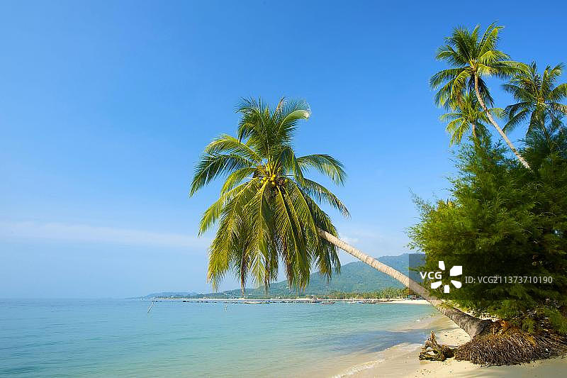 苏梅岛拉迈海滩：泰国南部棕榈海滩风光图片素材