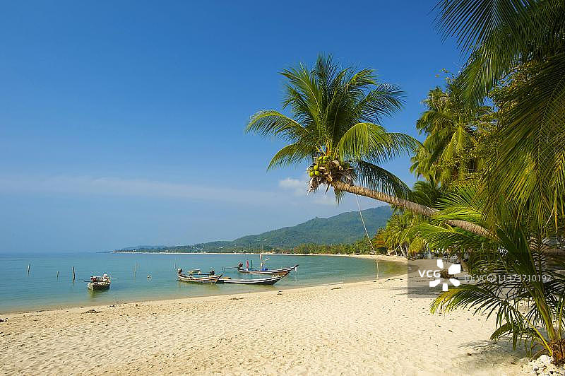 苏梅岛拉迈海滩：泰国南部棕榈海滩风光图片素材