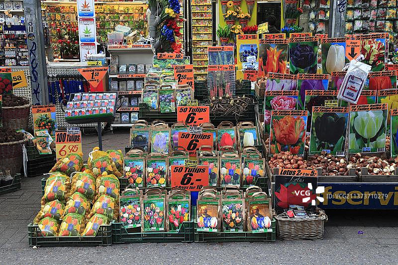 荷兰北荷兰省阿姆斯特丹的种球销售图片素材