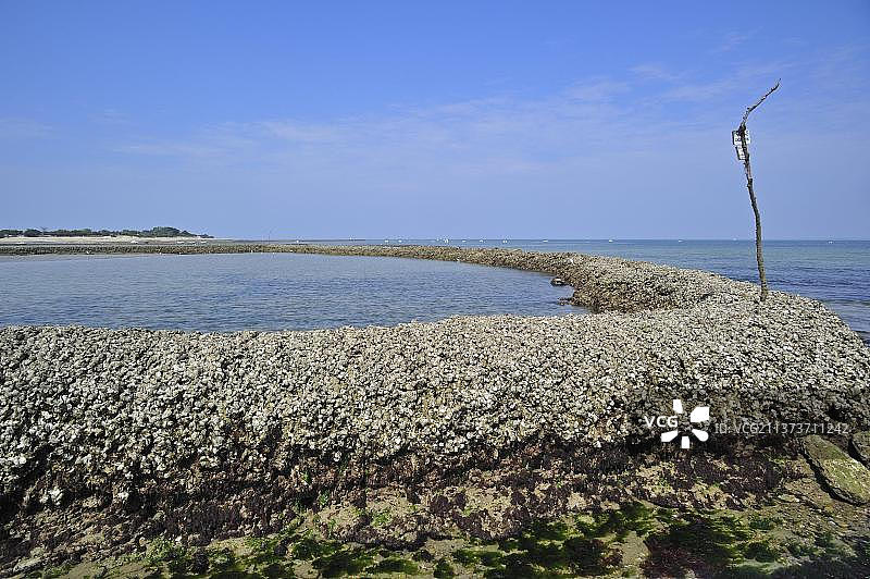 鱼闸：在法国夏朗德省雷岛低潮时捕鱼的传统方法图片素材