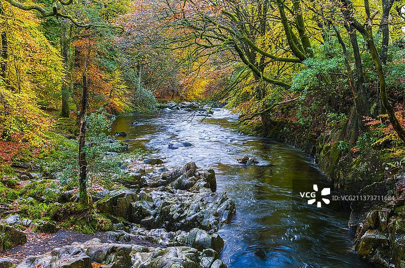 英国坎布里亚郡湖区埃斯克河秋季林地风光图片素材