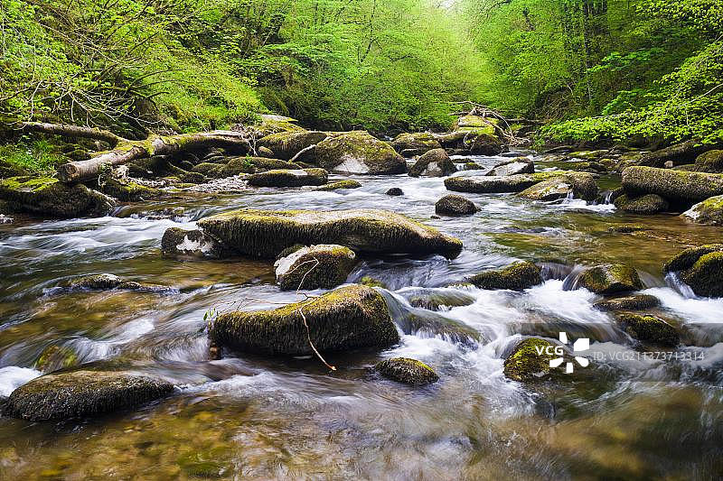 英国德文郡埃克斯穆尔国家公园东琳河春景图片素材