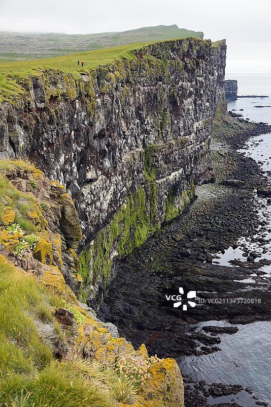 冰岛西峡湾拉特拉比亚格的鸟岩图片素材