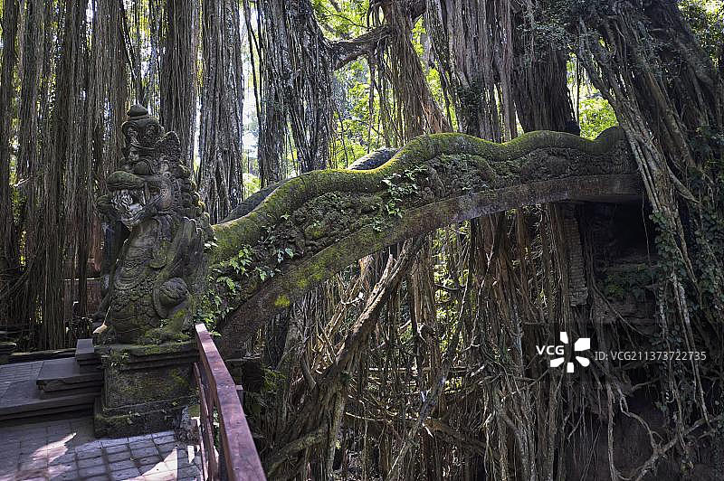 印度尼西亚巴厘岛乌布圣猴森林的石桥图片素材