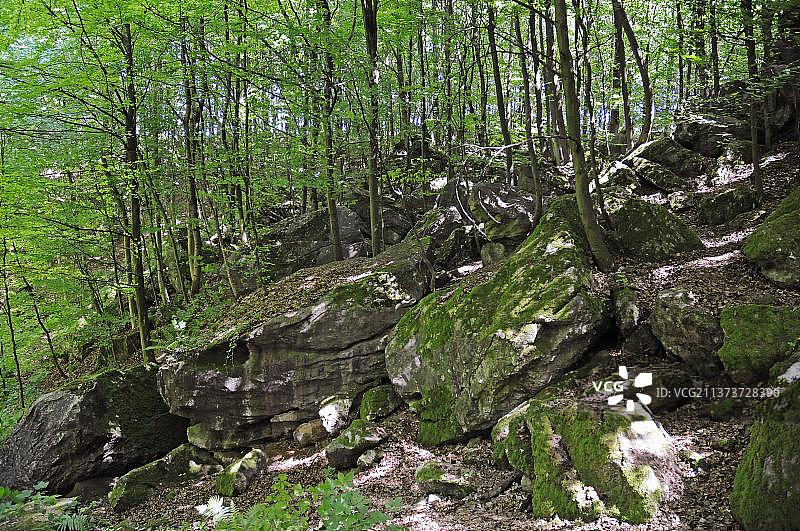 德国北莱茵-威斯特法伦州劳特塔尔-赖兴巴赫的Felsenmeer自然保护区图片素材