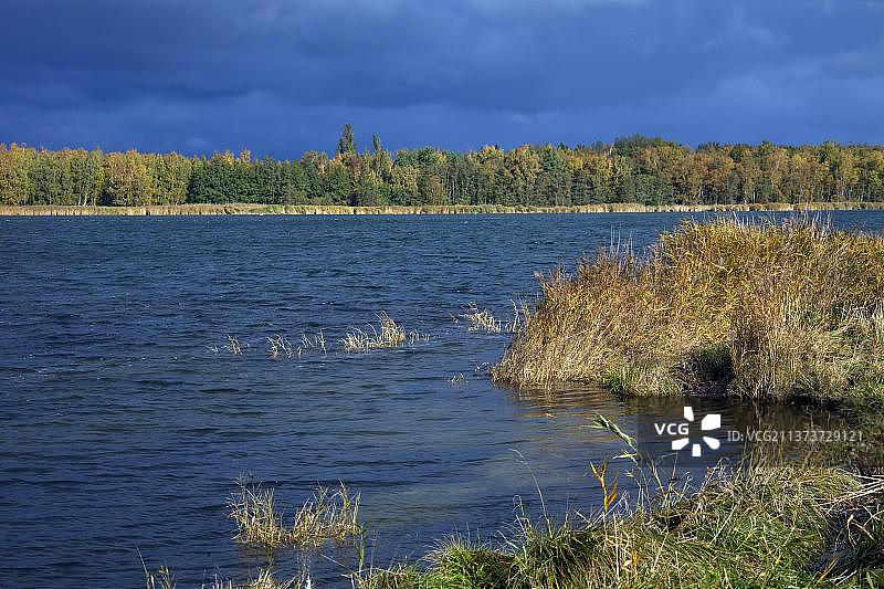 德国弗尔波门潟湖国家公园的巴克岛图片素材