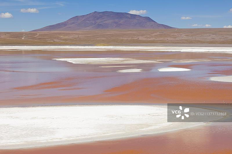 科罗拉多泻湖，玻利维亚波托西高原，盐湖，南美洲图片素材