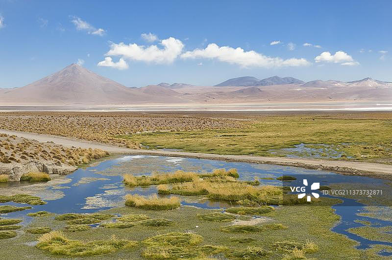 科罗拉多泻湖，玻利维亚波托西高原，盐湖，南美洲图片素材