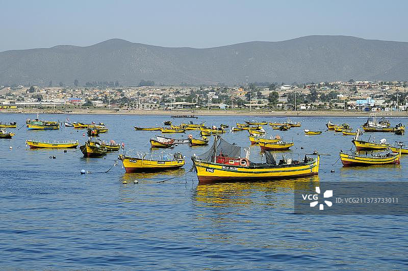 智利科金博港的彩色渔船和港口海景图片素材