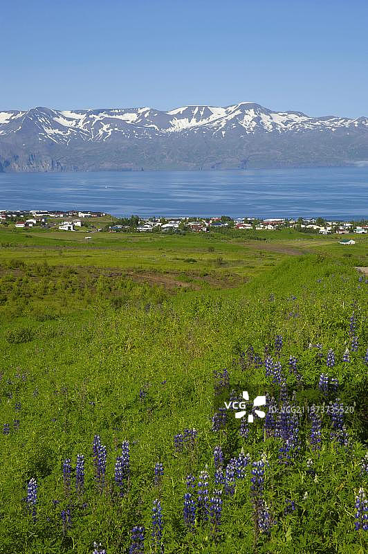 胡萨维克，冰岛，欧洲图片素材