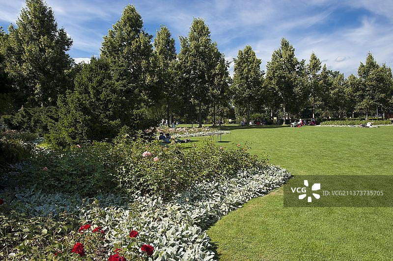 瑞士伯尔尼州伯尔尼玫瑰花园图片素材