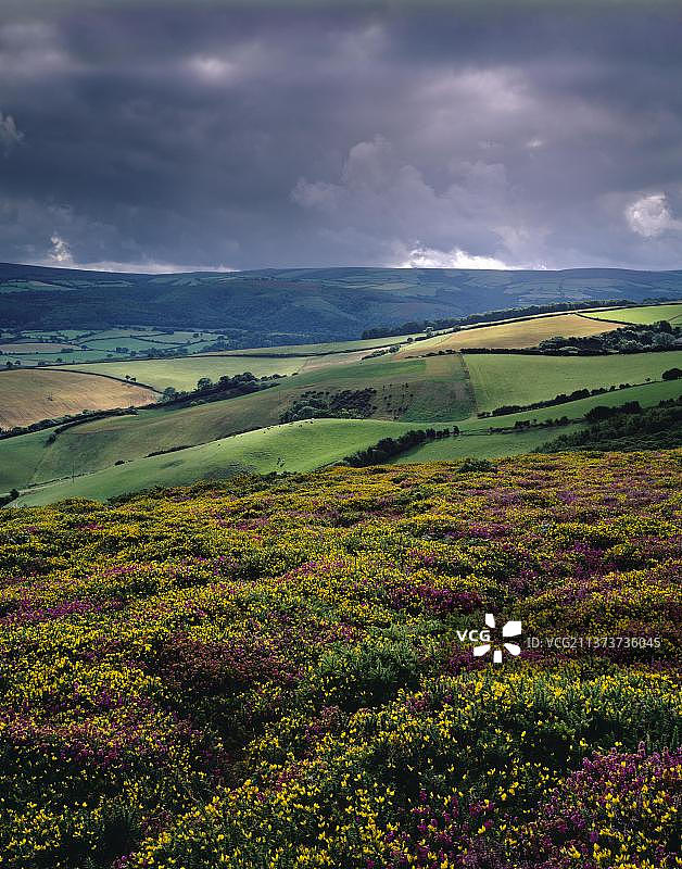 从塞尔沃西比肯看到的埃克斯穆尔国家公园霍尔尼科特庄园，位于英国萨默塞特塞尔沃西图片素材