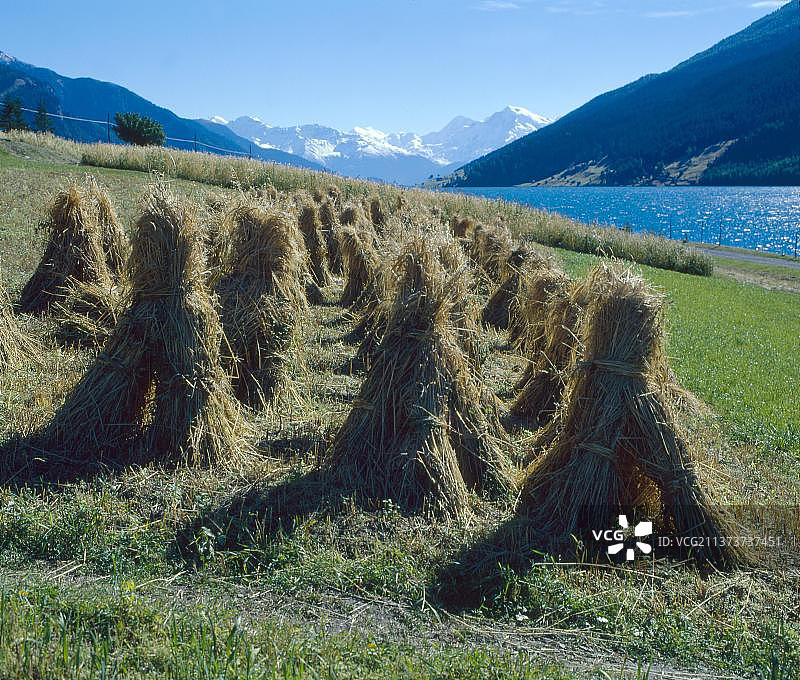 雷西亚湖的秋色图片素材