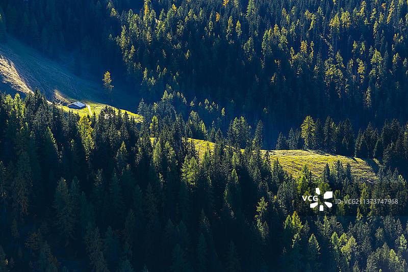 德国巴伐利亚贝希特斯加登地区舍瑙的云杉林和高山牧场图片素材