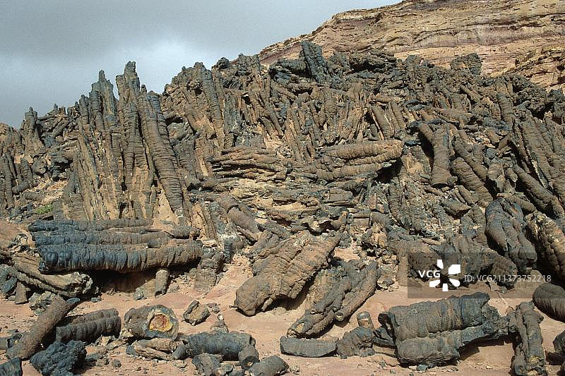 石化森林，西奈，埃及，非洲图片素材