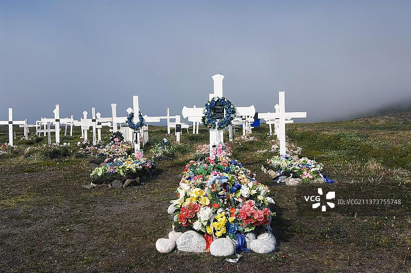 格陵兰康厄尔路克墓地的坟墓上的花图片素材